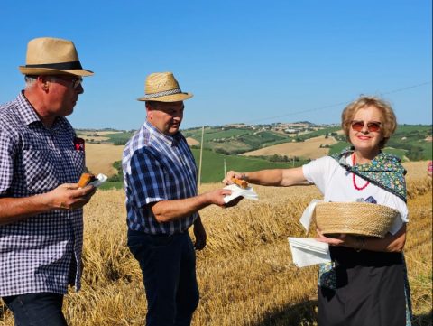 Le origini contadine dei piatti tipici marchigiani