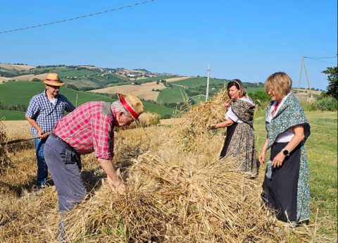 Le origini contadine dei piatti tipici marchigiani